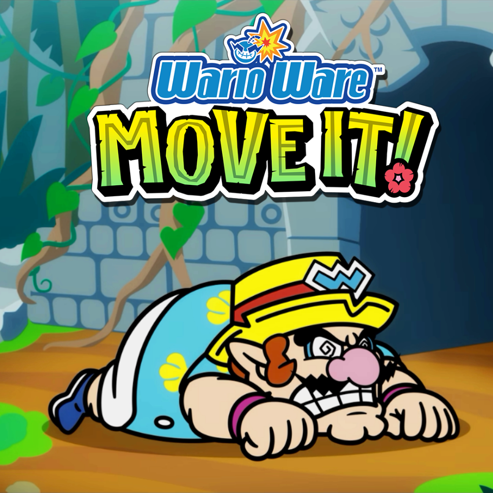 Wario Ware Move It!